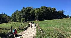 Cammino de Santiago 100 km a piedi.SCONTO SPECIALE.Prenotazione online