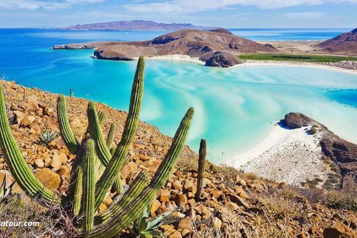 Percorri in Assoluta Libertà il bellissimo paese della BAJA CALIFORNIA