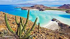 Percorri in Assoluta Libertà il bellissimo paese della BAJA CALIFORNIA