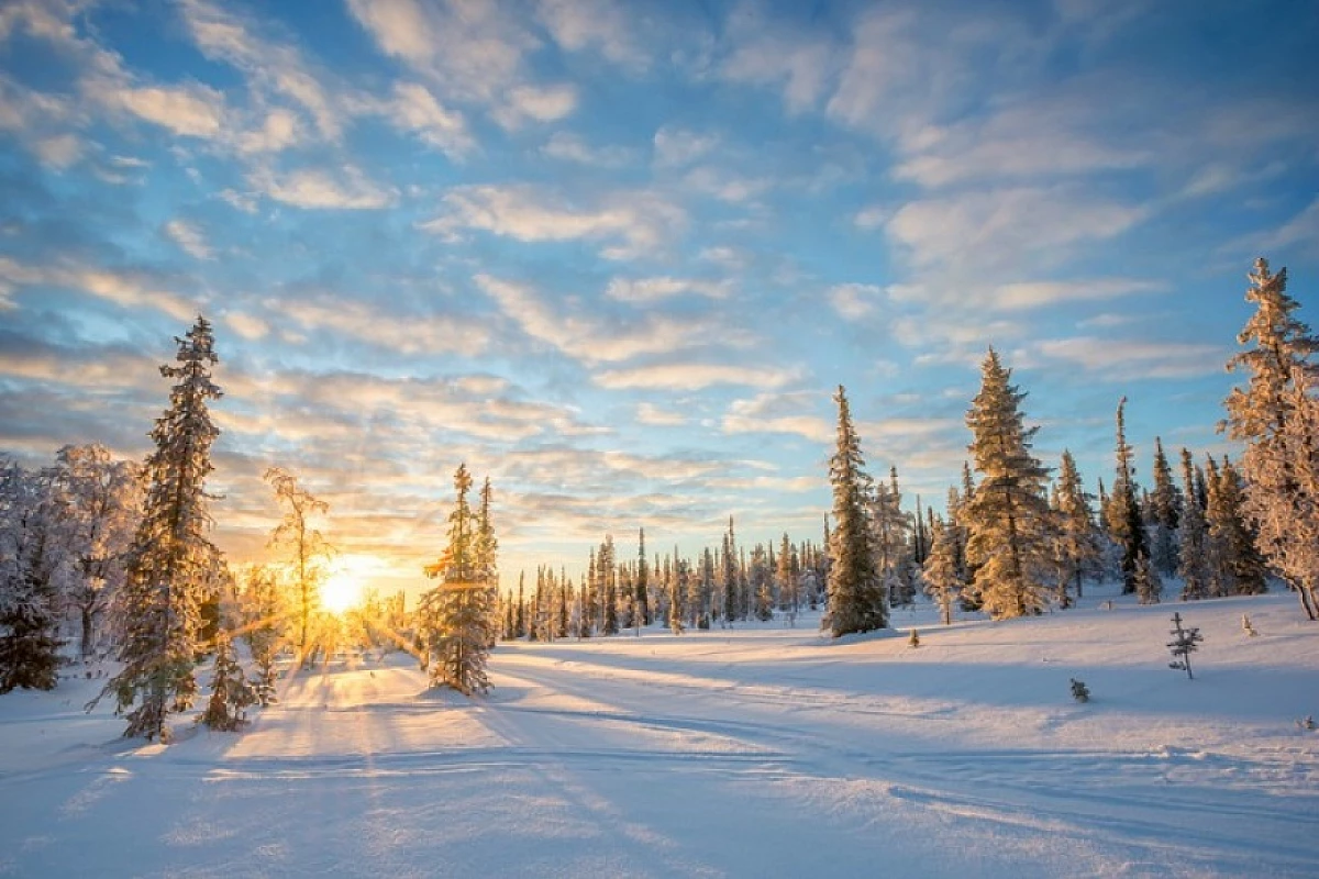 Inverno 2020: da novembre a marzo, scopri la Lapponia in offerta