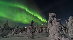 Meraviglie norvegesi: fiordi e aurora boreale Tour in italiano