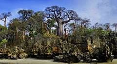 15 gg Viaggio nel Nord del Madagascar e Nosy Be da €2200