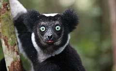 15 gg Viaggio Classico per il sud del Madagascar da €2300