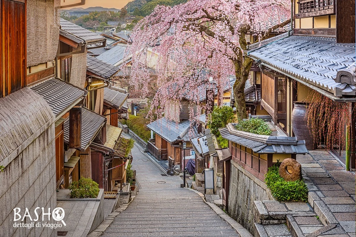 Indimenticabile viaggio in Giappone tra natura e cultura