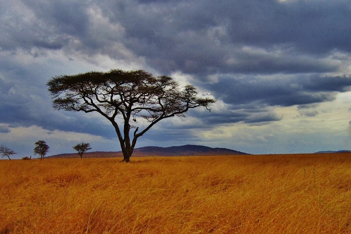 Tanzania: safari privato + mare a Zanzibar - Volo Incluso