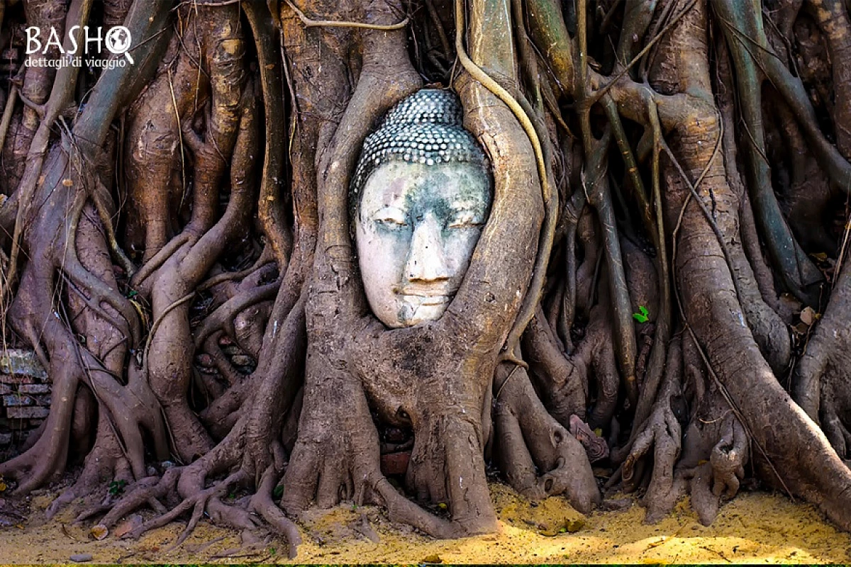 Thailandia: un viaggio alla scoperta della terra dai mille volti