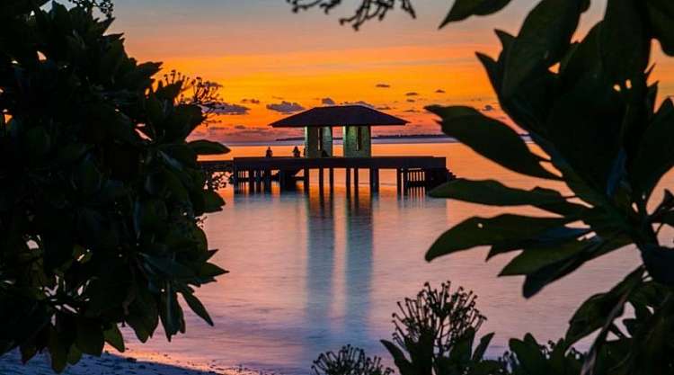 Maldive - The Barefoot Eco Hotel - Atollo di Haa inverno/estate 2020
