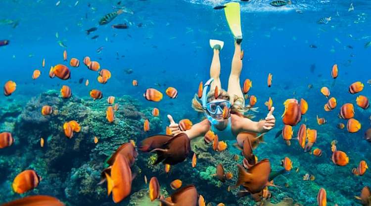 Novità 2020 - Miami e vacanza in catamarano - hotel e voli inclusi