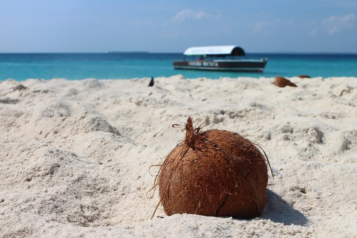 Zanzibar. mare, spiagge e non solo - Volo incluso