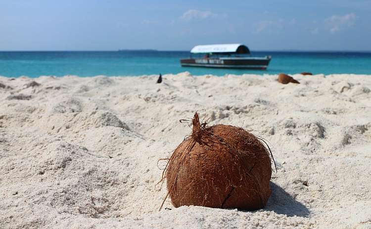Zanzibar. mare, spiagge e non solo - Volo incluso