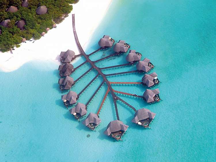 Coco Palm Dhuni Kolhu IMPERDIBILE: regala un S. Valentino speciale