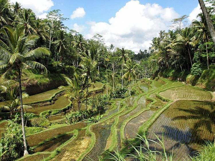 Viaggio combinato Bangkok + Bali 13 giorni e 10 notti in Hotel 4*