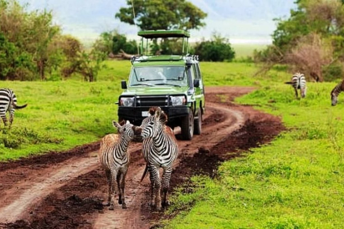 Africa TANZANIA - Arusha: Safari e soggiorno mare a Zanzibar