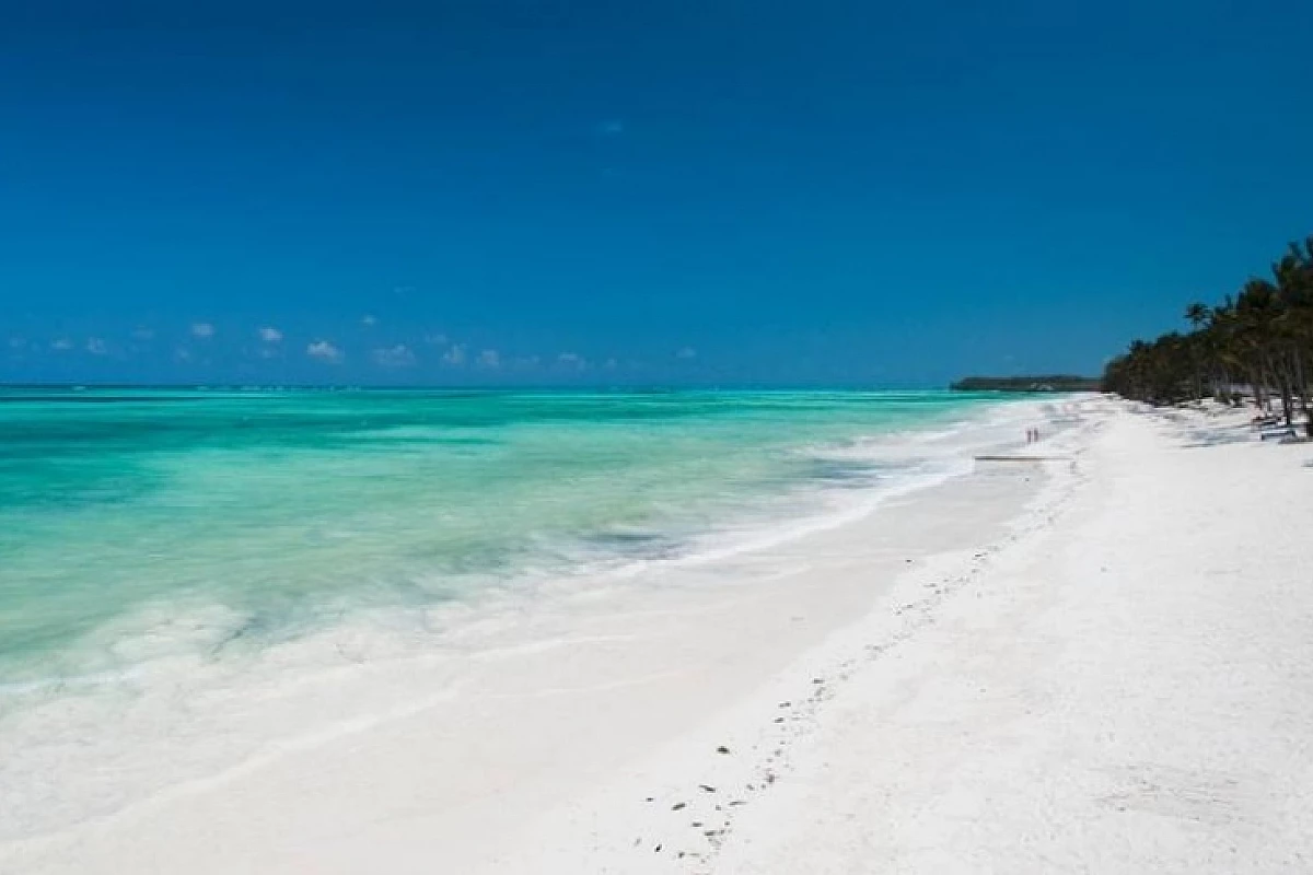 TANZANIA: Zanzibar Karafuu Beach SPECIALE OFFERTA PRENOTA PRIMA