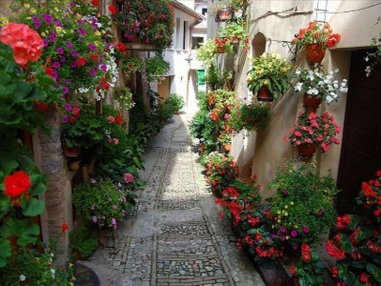 La via di Francesco : a piedi in Umbria , tra i monti del Santo