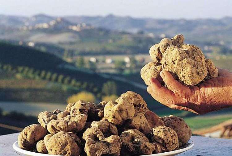 Mangia e bevi in Piemonte in liberta’ 5giorni fino a Novembre 2020