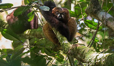 15 gg Viaggio Classico per il sud del Madagascar da €2500