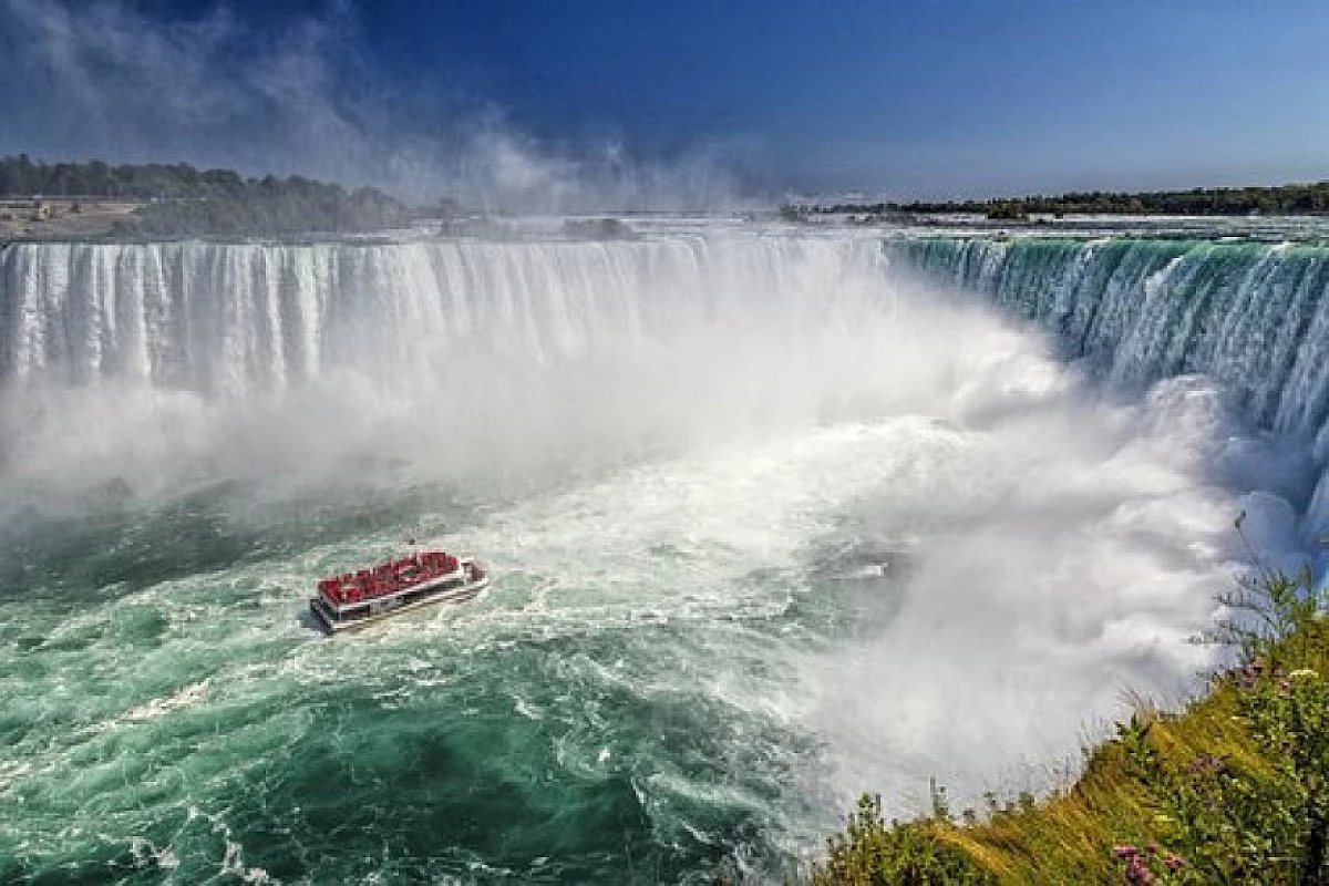 CANADA: TOUR CANADA WILDLIFE CON PROLUNGAMENTO ALLE NIAGARA FALLS