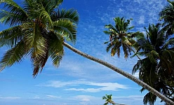 MALDIVE: HOTEL PARADISE ISLAND RESORT - PENSIONE COMPLETA