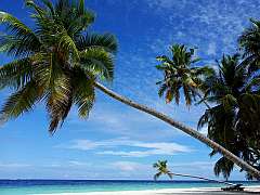 MALDIVE: HOTEL PARADISE ISLAND RESORT - PENSIONE COMPLETA
