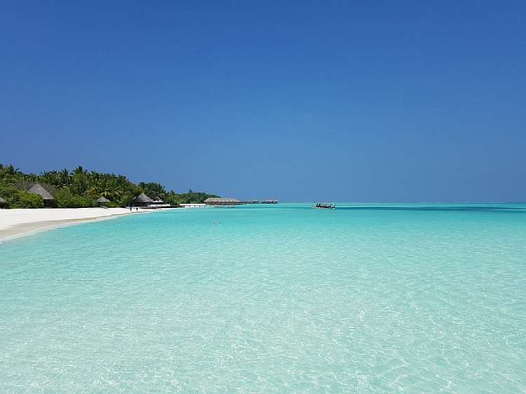 MALDIVE: HOTEL FIHALHOHI ISLAND RESORT- PENSIONE COMPLETA