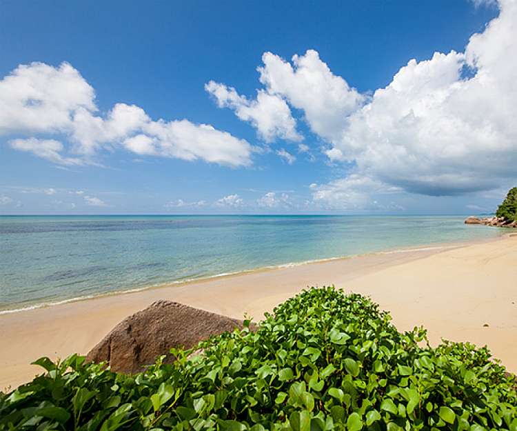 HOTEL COCO DE MER & BLACK PARROT SUITES