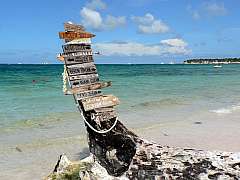 SANTO DOMINGO: BAYAHIBE SEACLUB CATALONIA BAYAHIBE - ALL INCLUSIVE