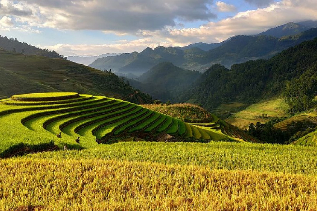 VIETNAM: TOUR INDIVIDUALI SAPA, APPASSIONATAMENTE VIETNAM E CAMBOGIA