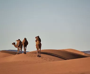 MAROCCO: TOUR LE CITTÀ IMPERIALI E LA PERLA BLU (DA CASABLANCA)