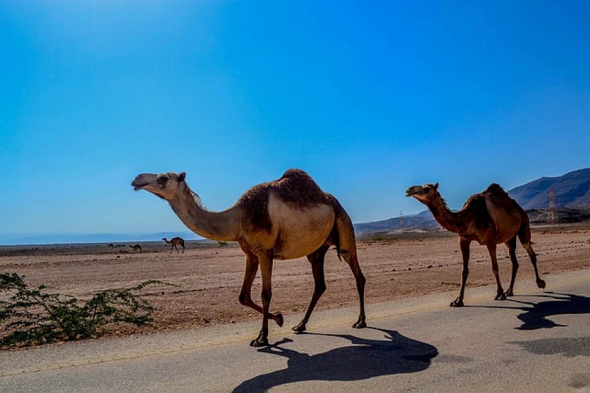 OMAN: TOUR NATALE O CAPODANNO NEL DESERTO DELL'OMAN CON PRE-ESTENSIONE