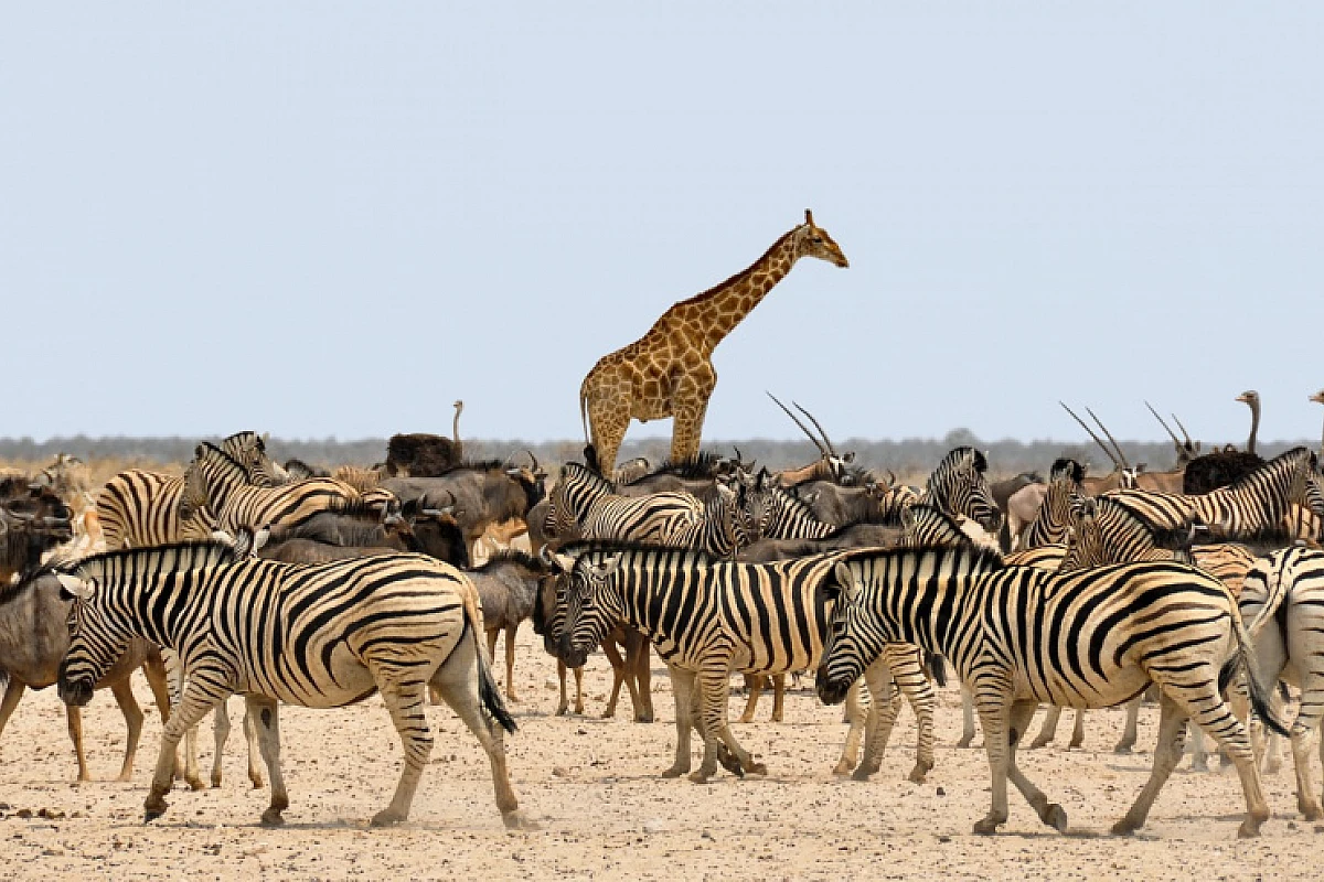 NAMIBIA: TOUR IL MEGLIO DELLA NAMIBIA