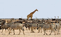 NAMIBIA: TOUR IL MEGLIO DELLA NAMIBIA 2025-2026
