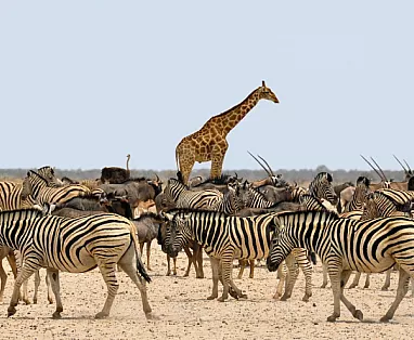 NAMIBIA: TOUR IL MEGLIO DELLA NAMIBIA 2025-2026