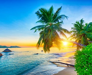 Fuga tropicale sull’isola di  Praslin, Seychelles: soggiorno di lusso all'Acajou Beach Resort da 2.010€!