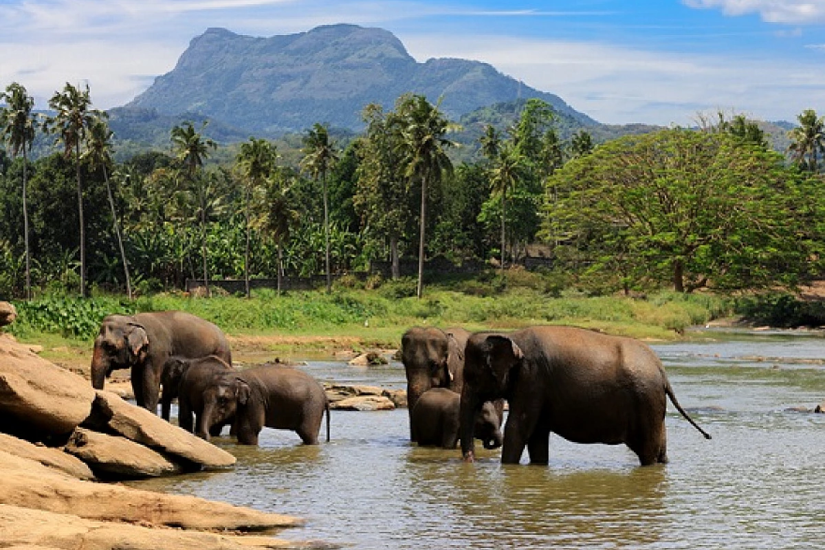 SRILANKA - MINI TOUR SRI LANKA 4* - 6 NOTTI - PARTENZE 2024