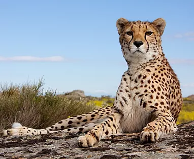 TOUR VIVI NAMIBIA - PARTENZE DA GENNAIO A DICEMBRE 2024
