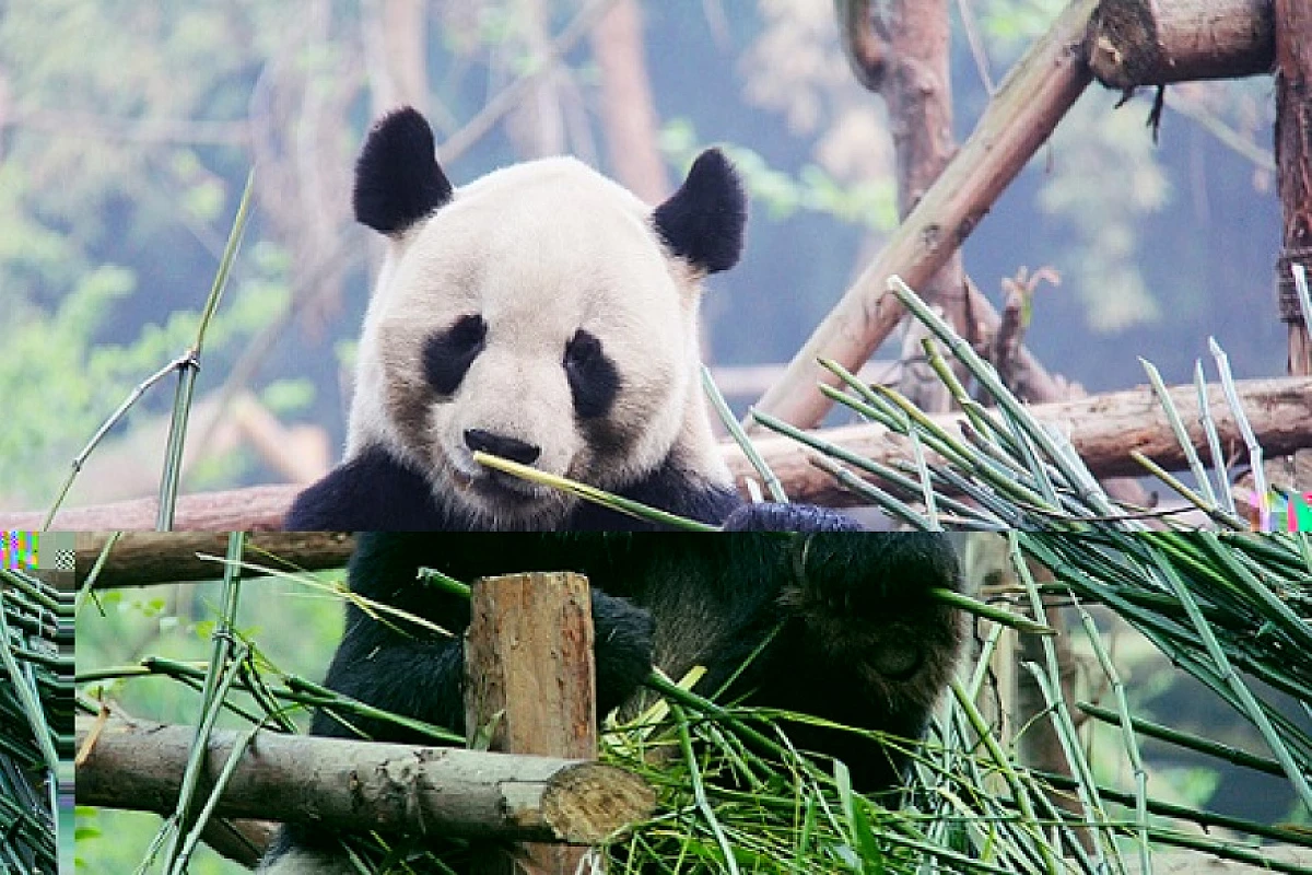 TOUR CINA STORIA E NATURA - PARTENZE DA APRILE A NOVEMBRE 2024