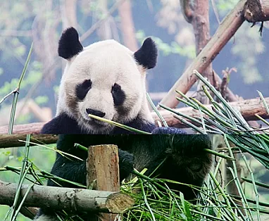 TOUR CINA STORIA E NATURA - PARTENZE DA APRILE A NOVEMBRE 2024