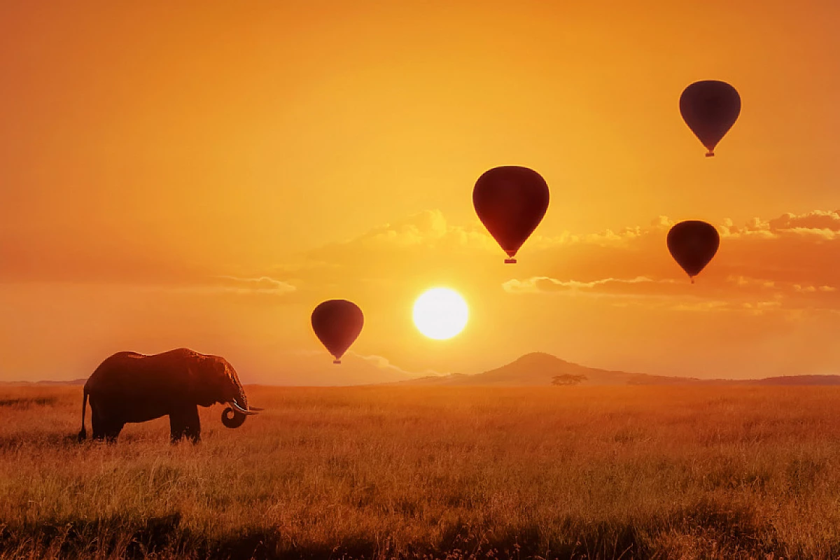 Safari in mongolfiera in Tanzania a meno di 7000€ : una vera occasione