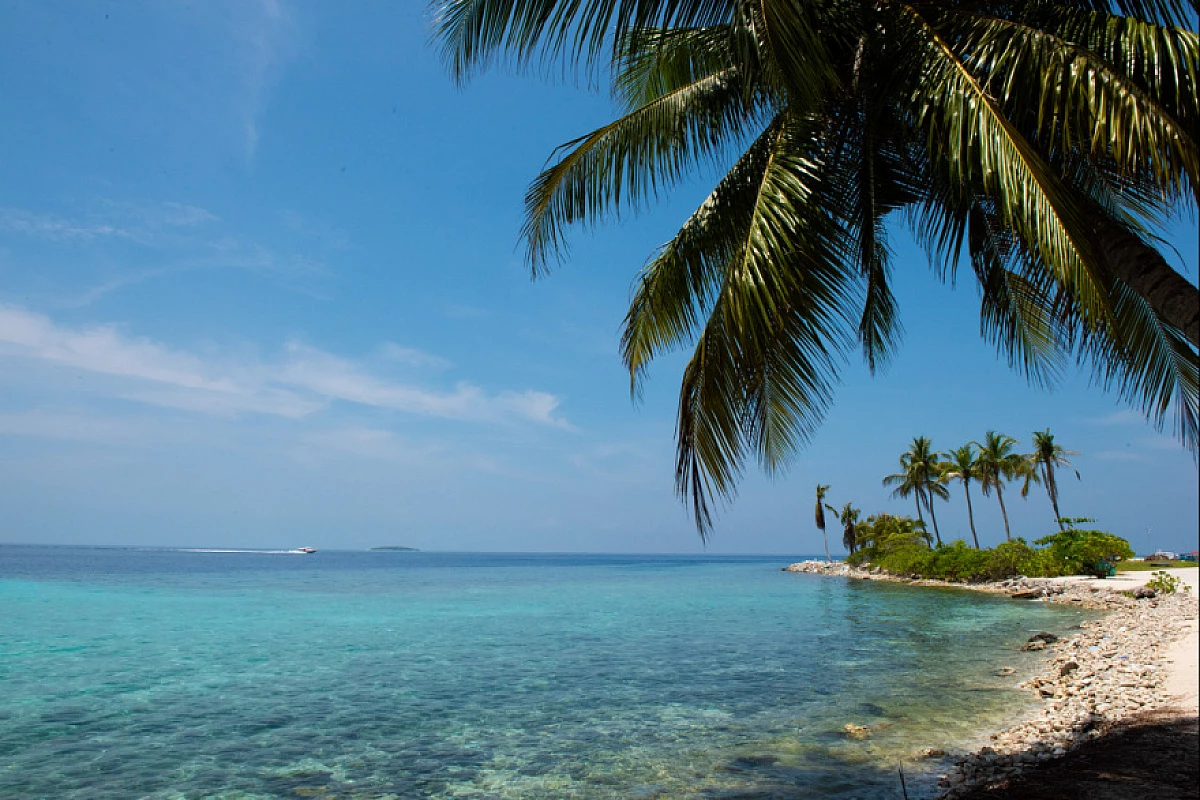 Maldive in esclusiva: scoperta e relax a Dharavandhoo per soli 650€!