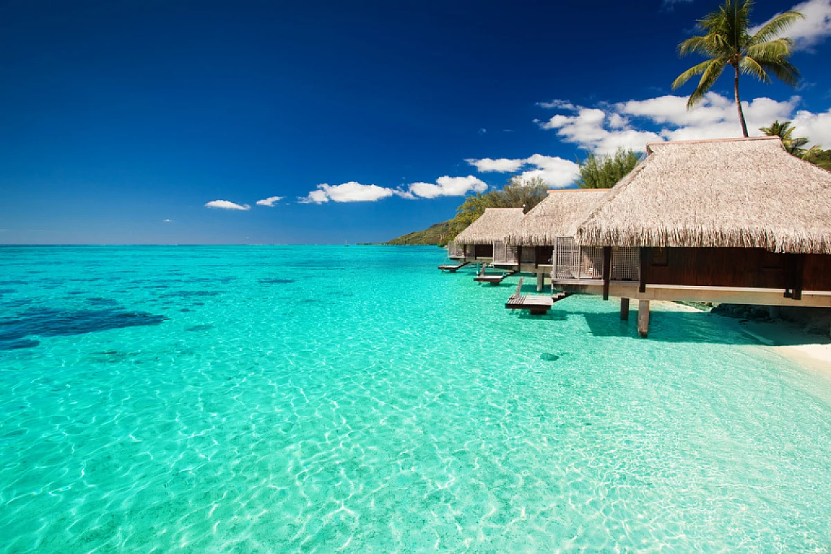 PRENOTA ORA Maldive a Soli 2340€: lusso e natura incontaminata!