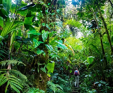 Costa Rica di lusso a partire da soli 4500€ con questa offerta!
