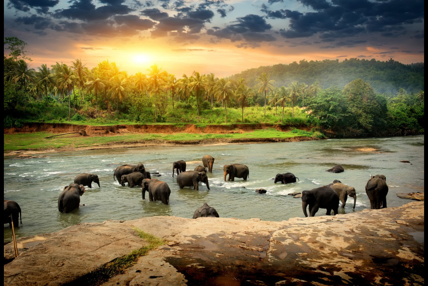 PRENOTA ORA! Sri Lanka da sogno a partire da soli 1855€