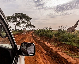 UGANDA: Safari avventura a soli 4240€  a persona, volo compreso!