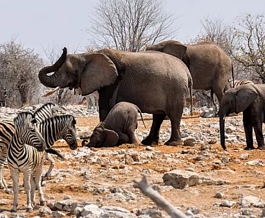 NAMIBIA: TOUR IL MEGLIO DELLA NAMIBIA DA NOVEMBRE A SETTEMBRE 2025
