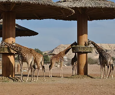 SUDAFRICA: TOUR STELLA AFRICANA DA NOVEMBRE 2024 A OTTOBRE 2025