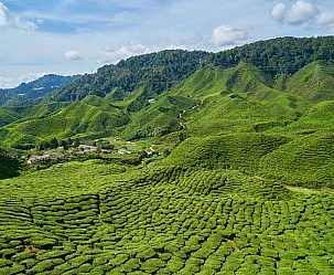 MALESIA: TOUR CLASSICAL SABAH