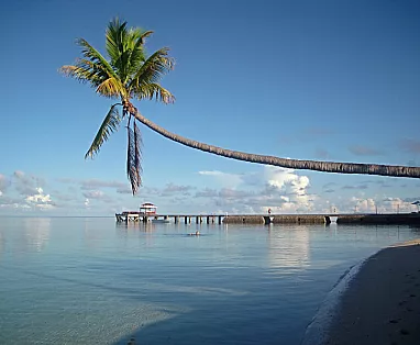 INDONESIA - ISOLA DI SULAWESI: TOUR CLASSICAL SULAWESI