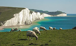 GALLES E CORNOVAGLIA 2025: STONEHENGE-POOLE-DEVON-LAND'S END