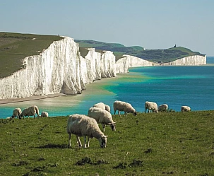 GALLES E CORNOVAGLIA 2025: STONEHENGE-POOLE-DEVON-LAND'S END